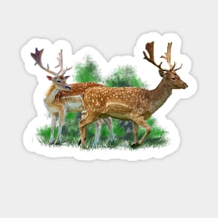 Rehe Sticker